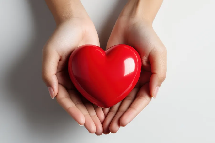 Cardiovasuclar-and-Lipid-Assessment-Clinic Two hands hold a red plastic heart. Schedule cardiovascular and lipid assessment from Morgan Burns, APRN in Central Florida.