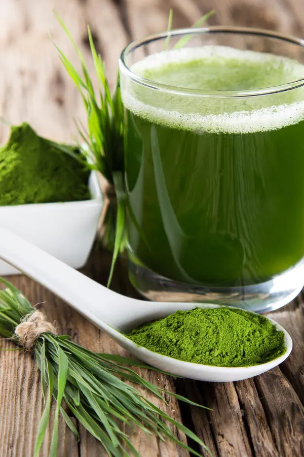 Immune-Optimization-Peptides-Treatment Green herbs, powders and juice. Get Immune Optimization Peptide Treatment from Morgan Burns, APRN in Central Florida.