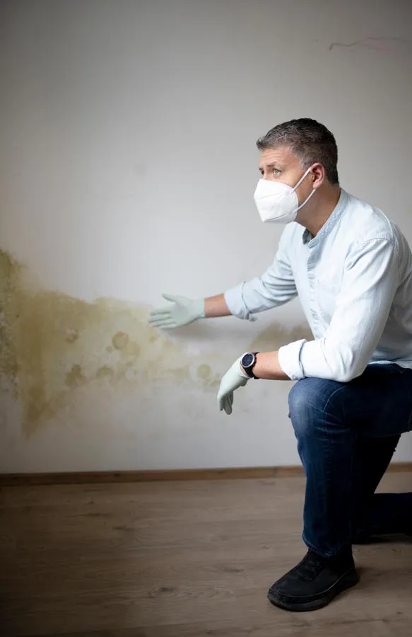 Mold-and-Mycotoxin-Treatment A building professional in a protective mask points out mold damage on a wall. Get treatment for mold and mycotoxin illness from Morgan Burns, APRN in Central Florida.